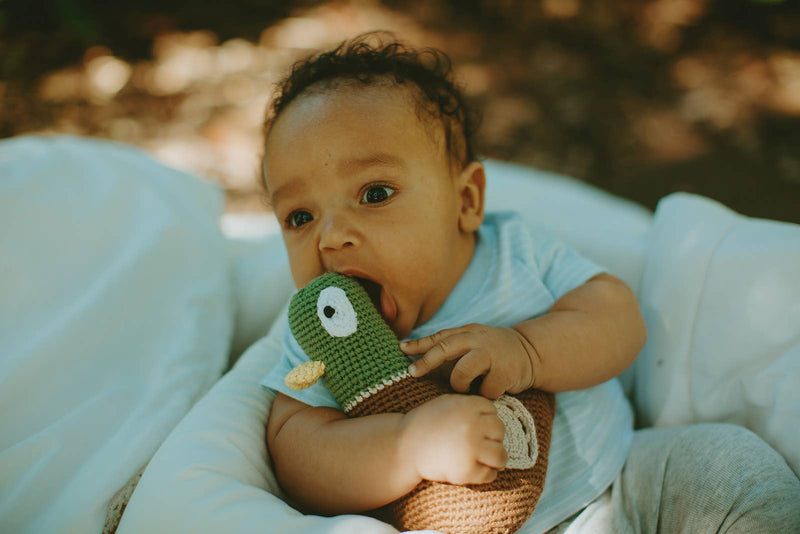 Plush Mallard Duck Kids Toy