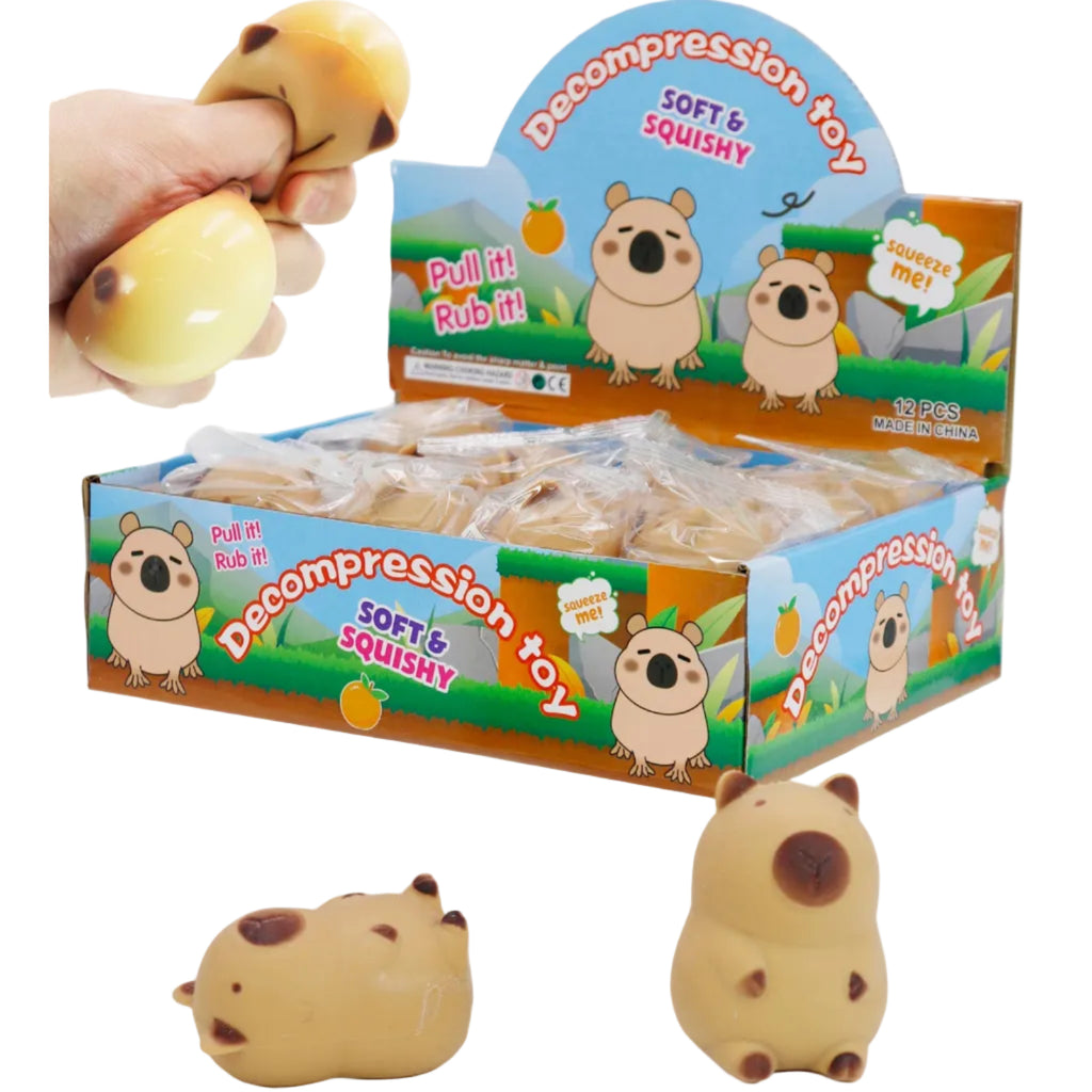 Decompression toy with packaging and a hand holding the toy on a white background
