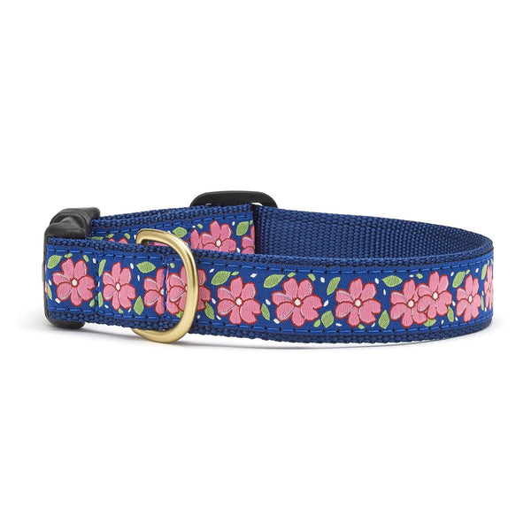 Floral patterned dog collar on a white background