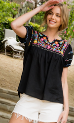 Embroidered Short Sleeve Top