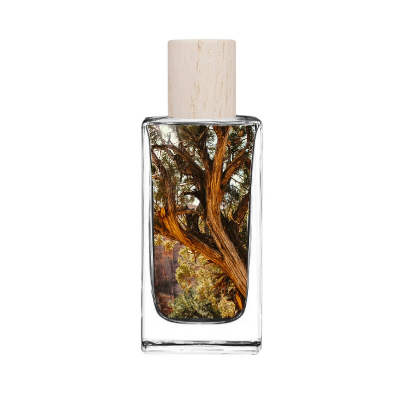 Project Fragrance Frio Woods
