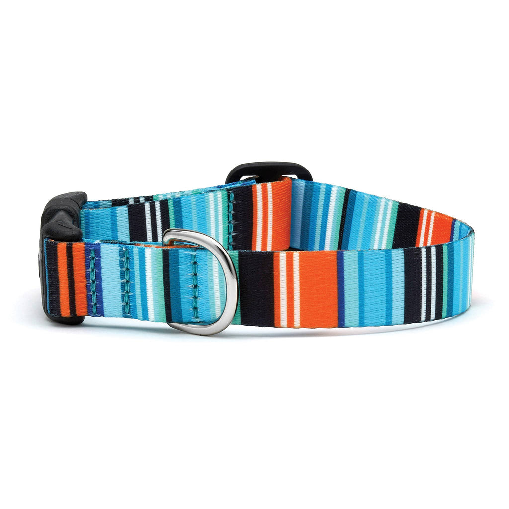 Multicolored striped dog collar on a white background