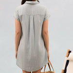 Stripe Chambray Collared Mini Dress