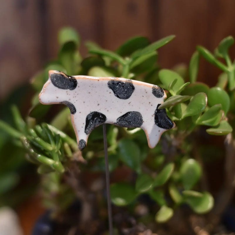Ceramic Plant Buddies